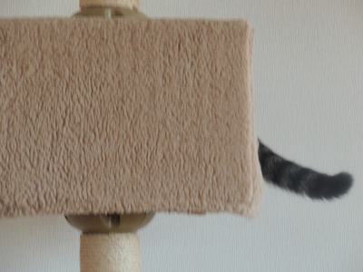 c0145016_16424276.jpg