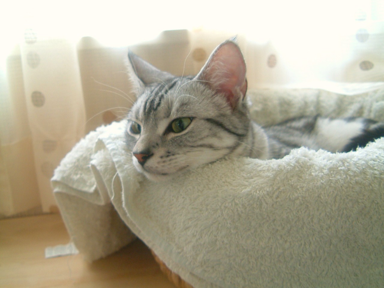 a0129020_10443266.jpg