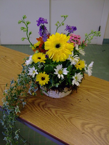 Plant and Cut Flower Arrangements_f0130621_15325717.jpg