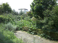 a0137223_0492760.jpg