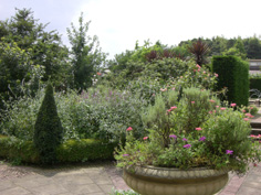 a0137223_050999.jpg