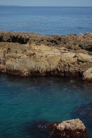 f0142623_225137.jpg