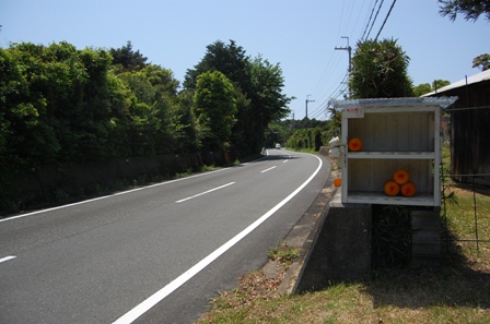 f0142623_23344.jpg
