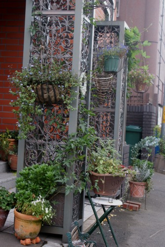 f0170524_1504244.jpg
