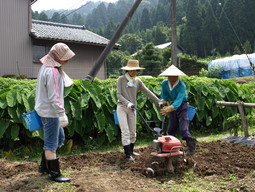 大阪と神奈川からワークステイに来られました_e0061225_14361646.jpg