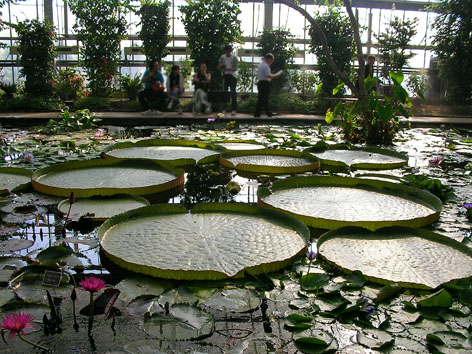 f0045132_17392087.jpg
