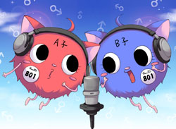 付き合ってた彼女、893でした。「となりの801ちゃん4 特別限定版」の限定版カバーに注目☆_e0025035_11532790.jpg