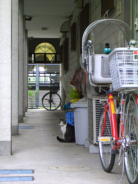 f0031535_141658.jpg