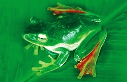 f0196839_1554445.jpg