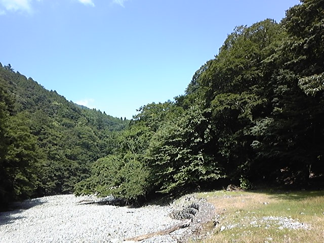 a0048040_2237737.jpg