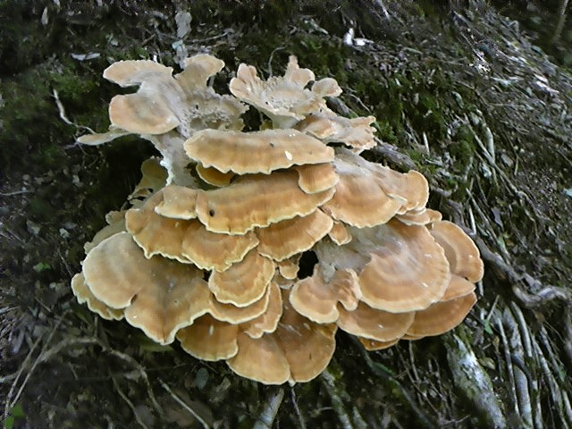 a0048040_22384689.jpg