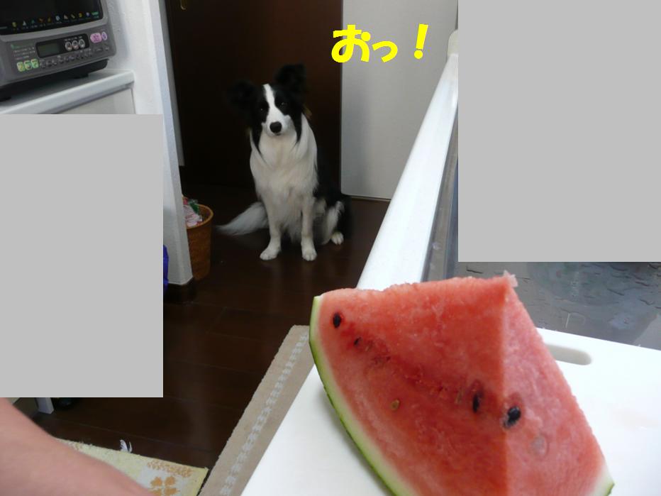 c0147241_22332710.jpg