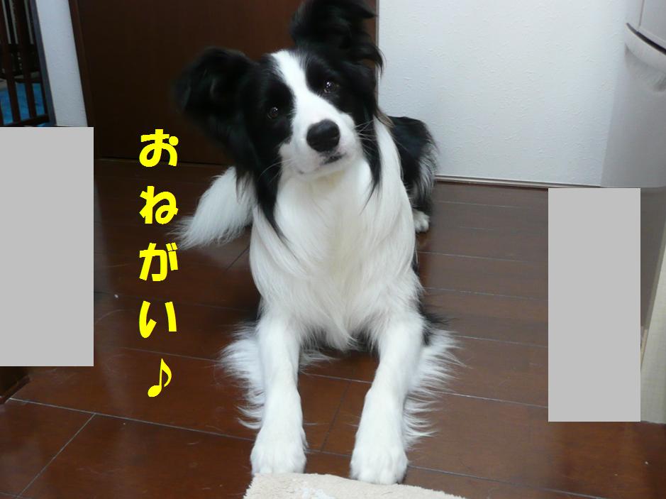 c0147241_2233528.jpg