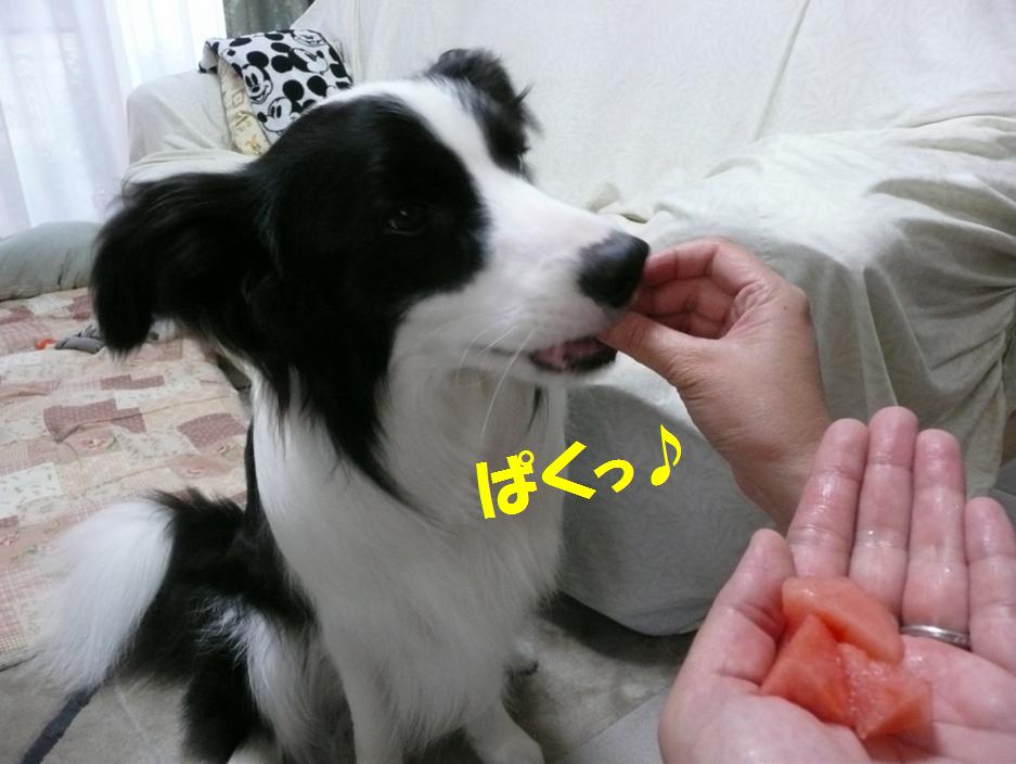 c0147241_22341236.jpg