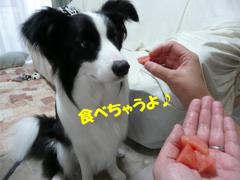 c0147241_2234645.jpg