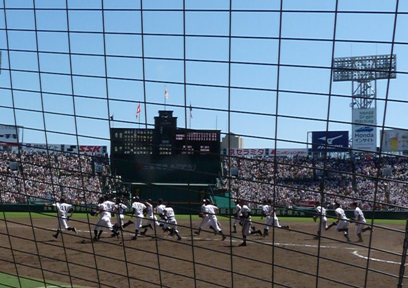 ネット裏から見た甲子園_b0041442_8523610.jpg