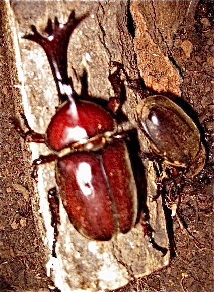 a0117344_11182571.jpg