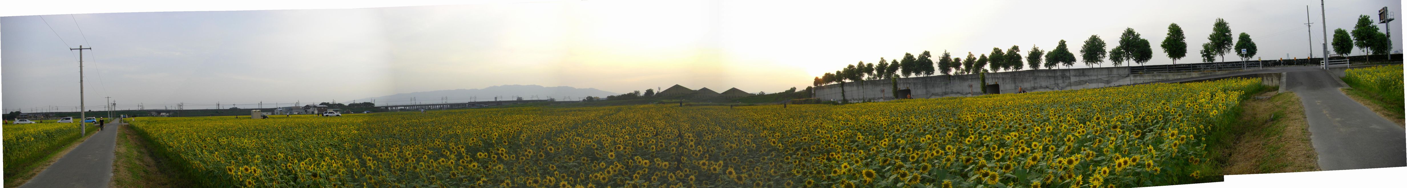 b0088444_22482583.jpg