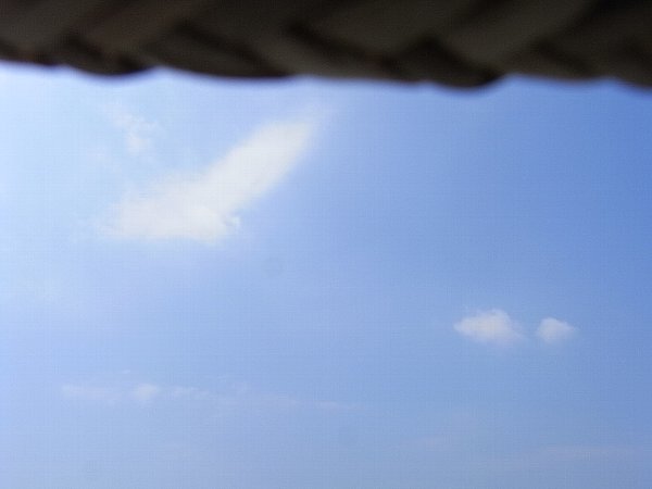 b0165444_10513573.jpg