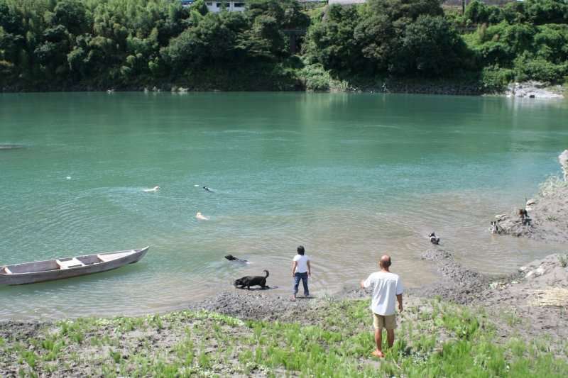 四国　徳島方面　キャンプ　二日目_e0111449_21581188.jpg