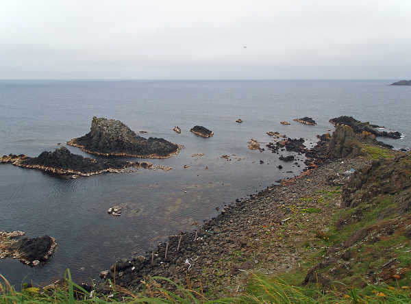 f0140054_19413850.jpg