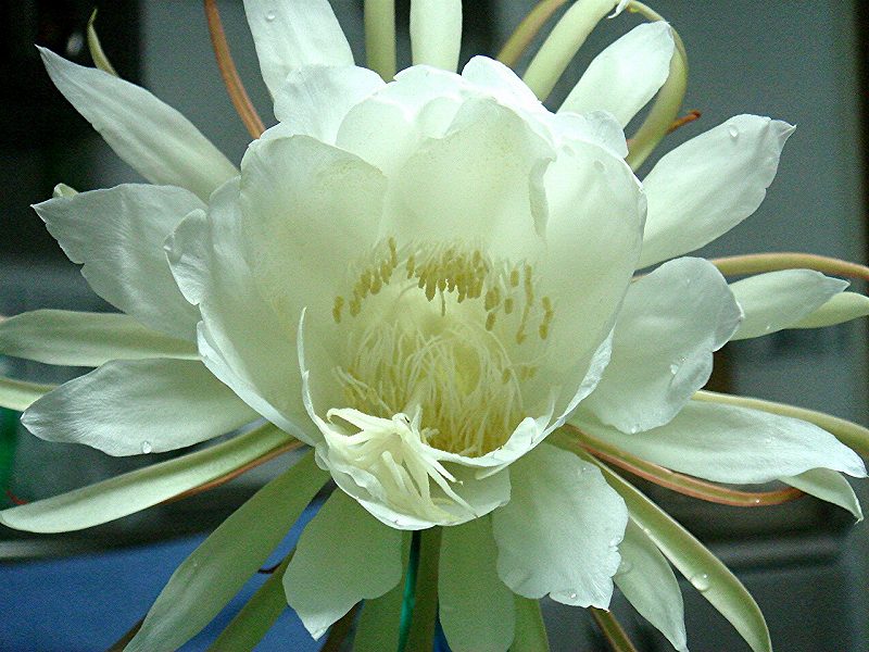 e0012055_23305937.jpg