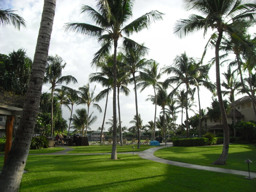 Hawaii2009-38:Outrigger Fairway Villas（フェアウェイヴィラ）　完結編_f0054556_063423.jpg