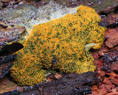 e0035757_20502418.jpg