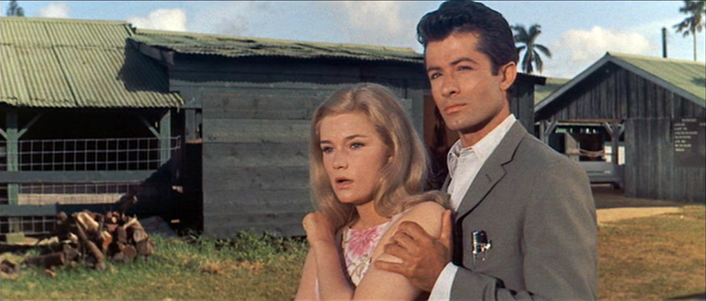 イヴェット・ミミュー（Yvette Mimieux）「ダイヤモンド・ヘッド」（1962）・・・③_e0042361_23231356.jpg