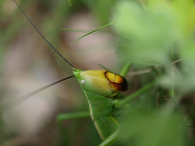 b0135573_20354776.jpg