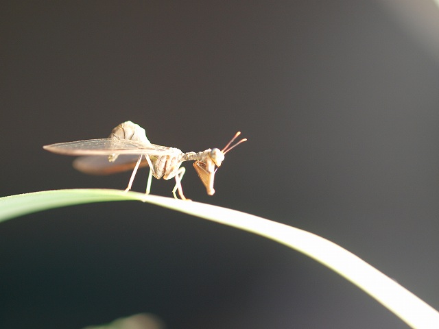 b0135573_20362633.jpg