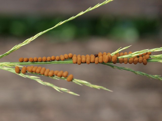 b0135573_20373412.jpg