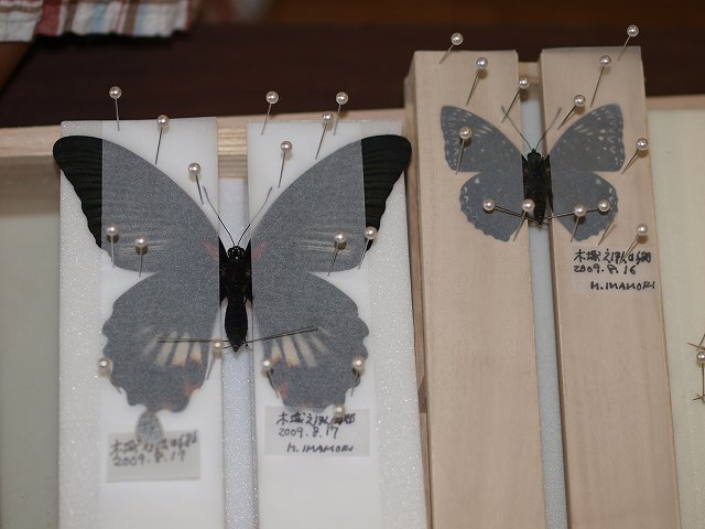 b0135573_2044063.jpg
