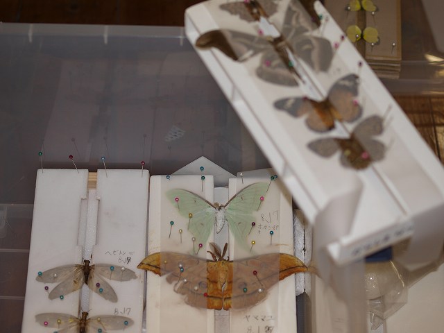 b0135573_20441846.jpg