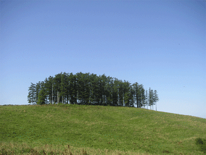 f0161874_20405112.gif