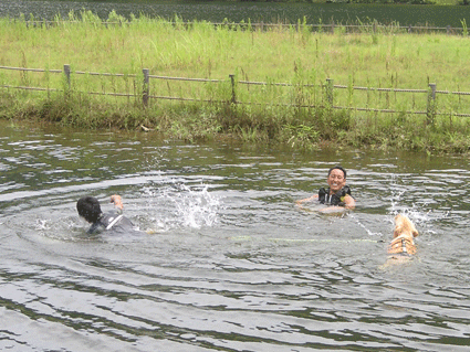 f0161874_20412472.gif