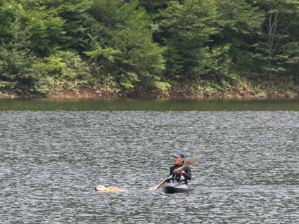f0161874_20413679.gif
