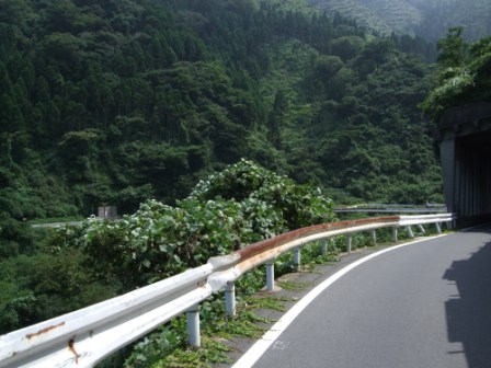 青春１８切符の旅　第三弾②（丹後半島：経ヶ岬～伊根～天橋立）_e0138081_135589.jpg