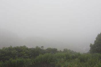 e0168482_1383715.jpg