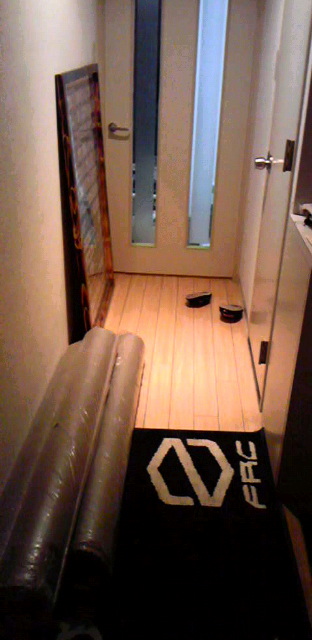 d0110991_059598.jpg
