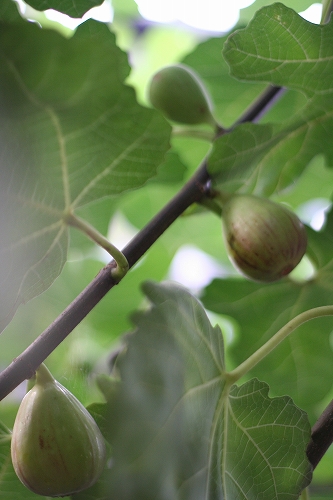 f0014391_23421468.jpg