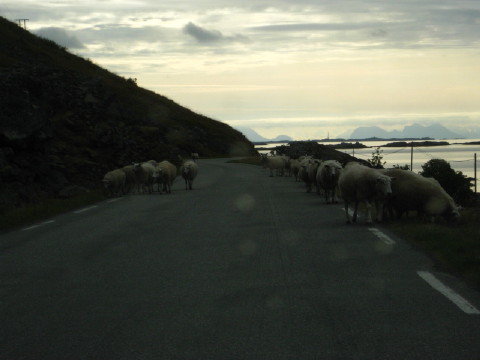 c0180096_6591377.jpg