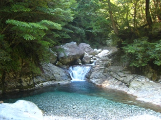 e0111396_05671.jpg