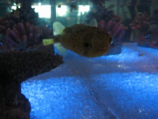 c0077697_20445774.jpg