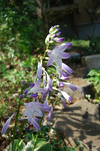 c0124100_2136343.jpg