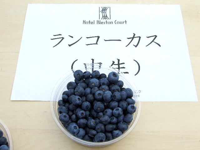 e0120402_15533581.jpg