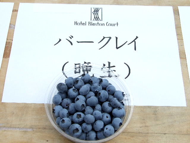 e0120402_15553831.jpg