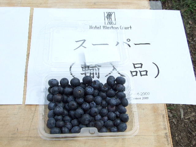 e0120402_15561684.jpg