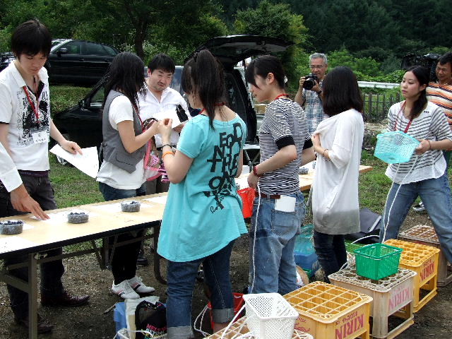 e0120402_1556521.jpg