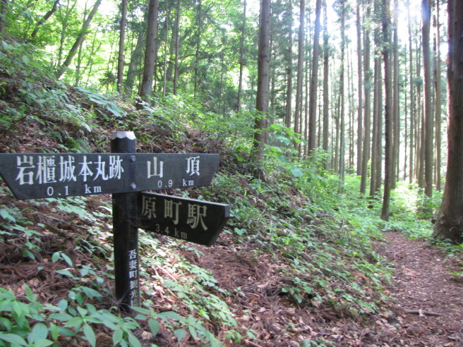 b0116703_6553724.jpg
